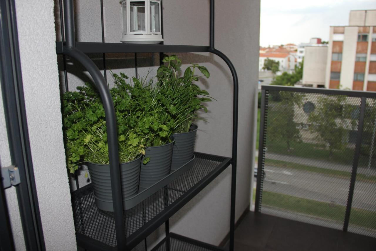 Sea Sun & Me Apartment 科佩尔 外观 照片