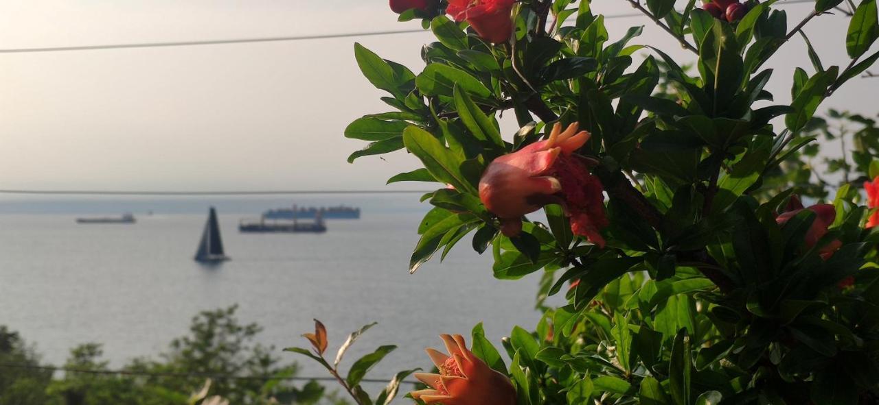 Sea Sun & Me Apartment 科佩尔 外观 照片